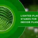 Lighted Plant Stands for Indoor Plant