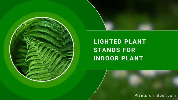 Lighted Plant Stands for Indoor Plant