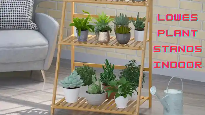 Lowes plant stands indoor